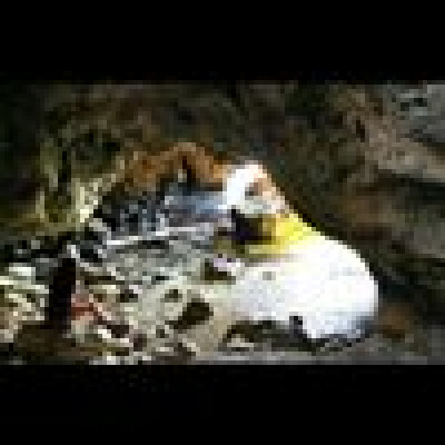 Carmen  is looking for a Room in Maastricht